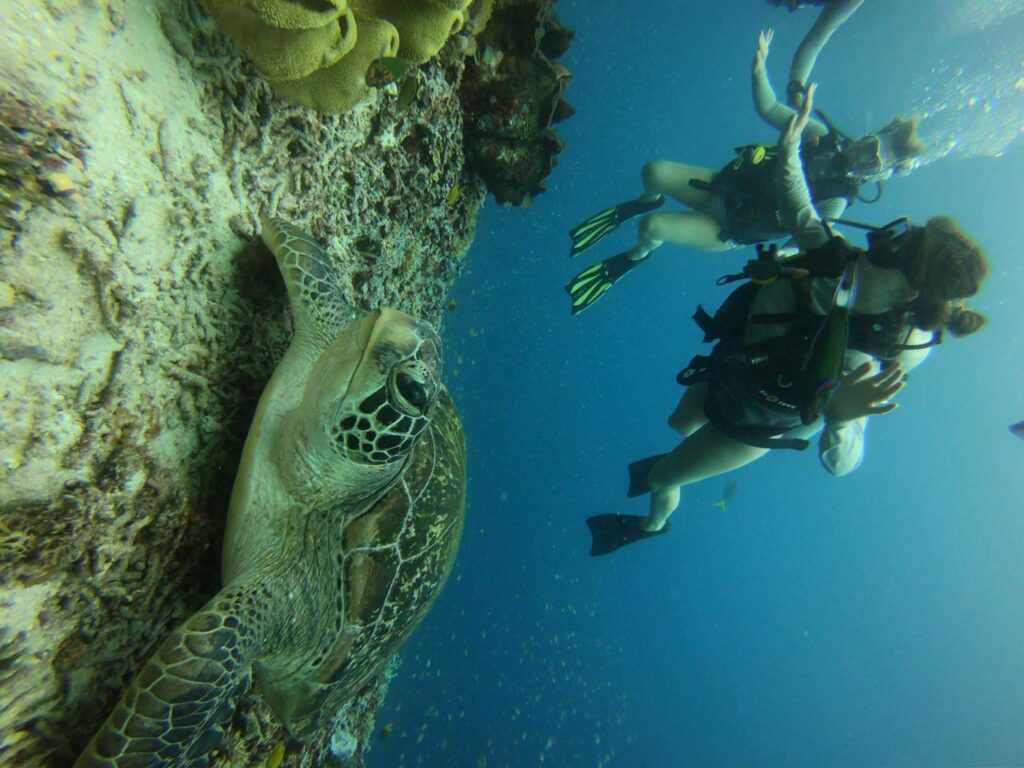 锡亚巴岛是科莫多国家公园最佳潜水地点之一