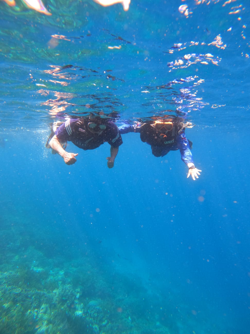 Die Reisenden schnorcheln im Taka Makassar innerhalb des Komodo-Nationalparks.