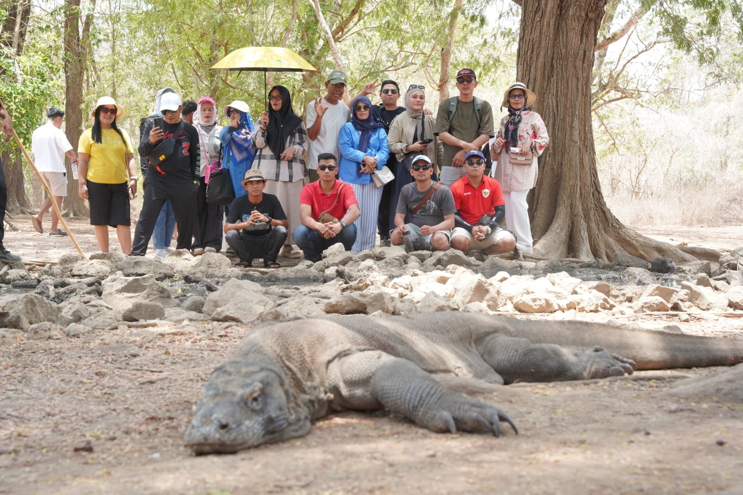 科莫多岛水洞的拍照点