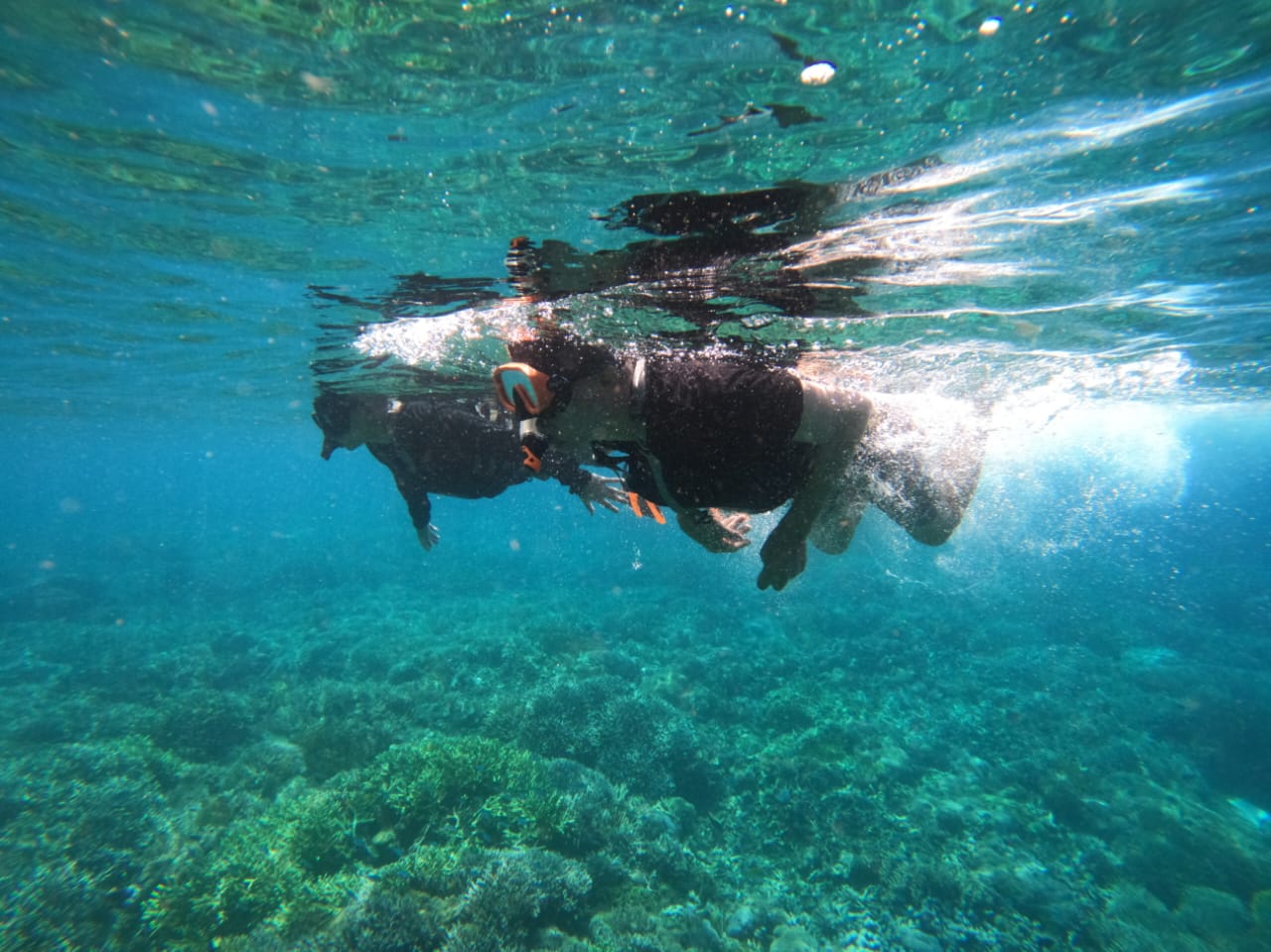 在塞巴尤尔岛浮潜