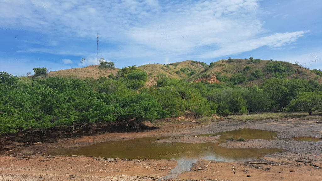 Устье моря, Ло Буайя, остров Ринка национального парка Комодо.