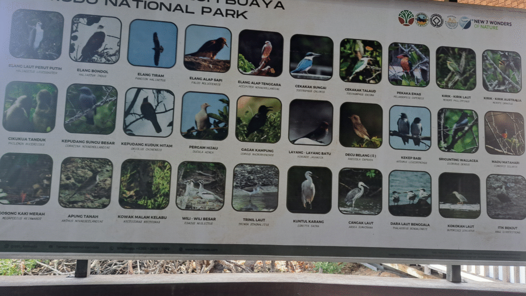 코모도 국립공원에 서식하는 새들의 이름 목록