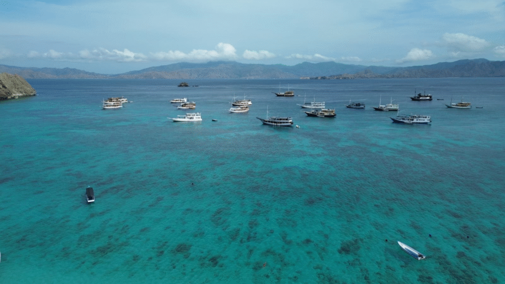 استكشاف عجائب جزيرة كومودو - رحلة بحرية في مغامرة كومودو من لومبوك إلى فلوريس