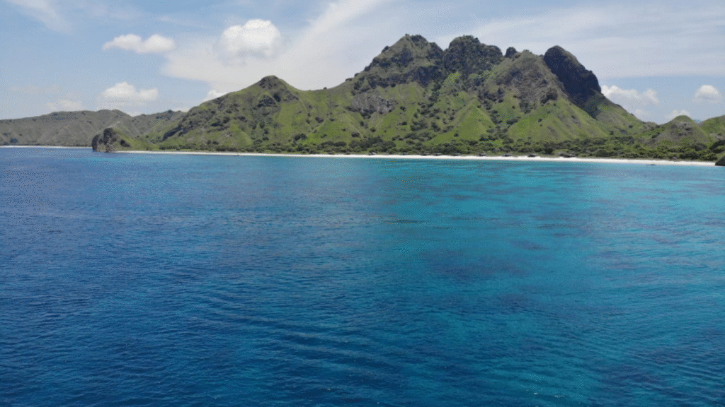 كيفية الوصول إلى جزيرة كومودو من بالي - دليلك السياحي الأمثل