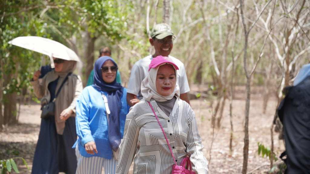 How to Get From Bali to Komodo Island via Lombok — A Complete Travel Guide