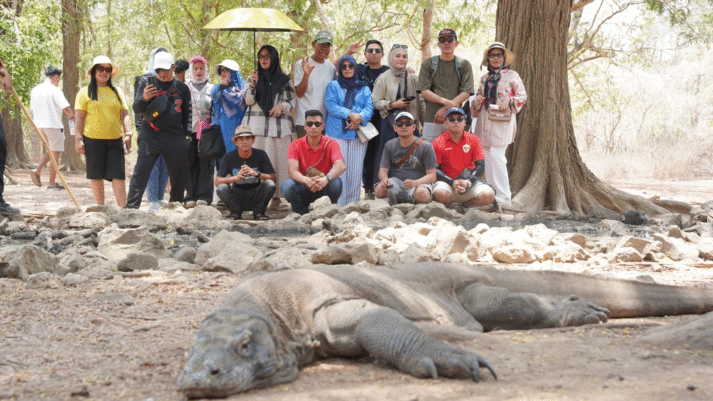 科莫多和林卡岛私人之旅 – 2 天 1 晚：探索科莫多国家公园的奇观