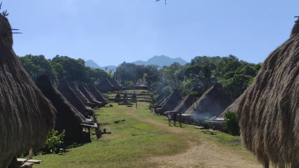 Belaraghi Village in Bajawa, Flores Island — A Journey into Authentic Ngada Culture