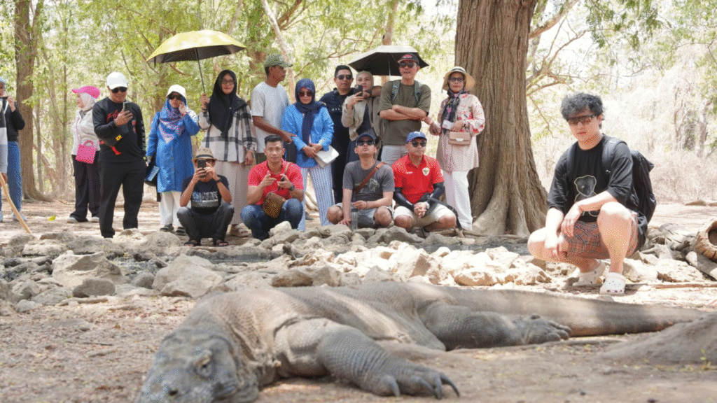 Komodo Adventure – 2 Days 1 Night Overnight On The Boat