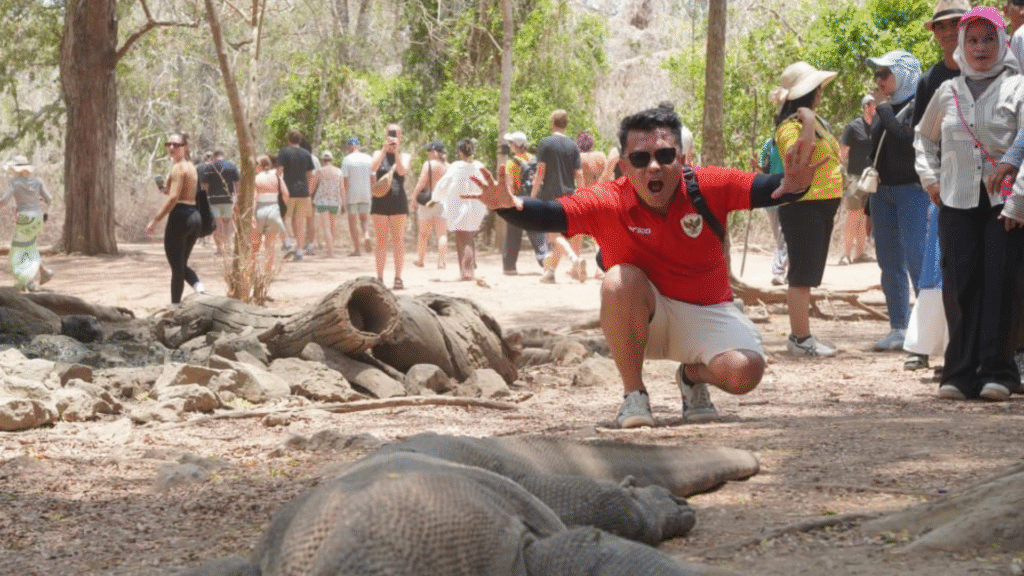 🌟 Discover Komodo & Flores with Komodo Padar Tours