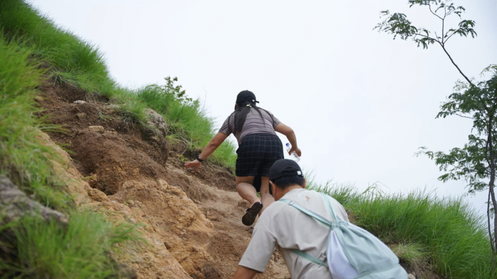 Ultimate Adventure with Our Private One‑Day Komodo Tour