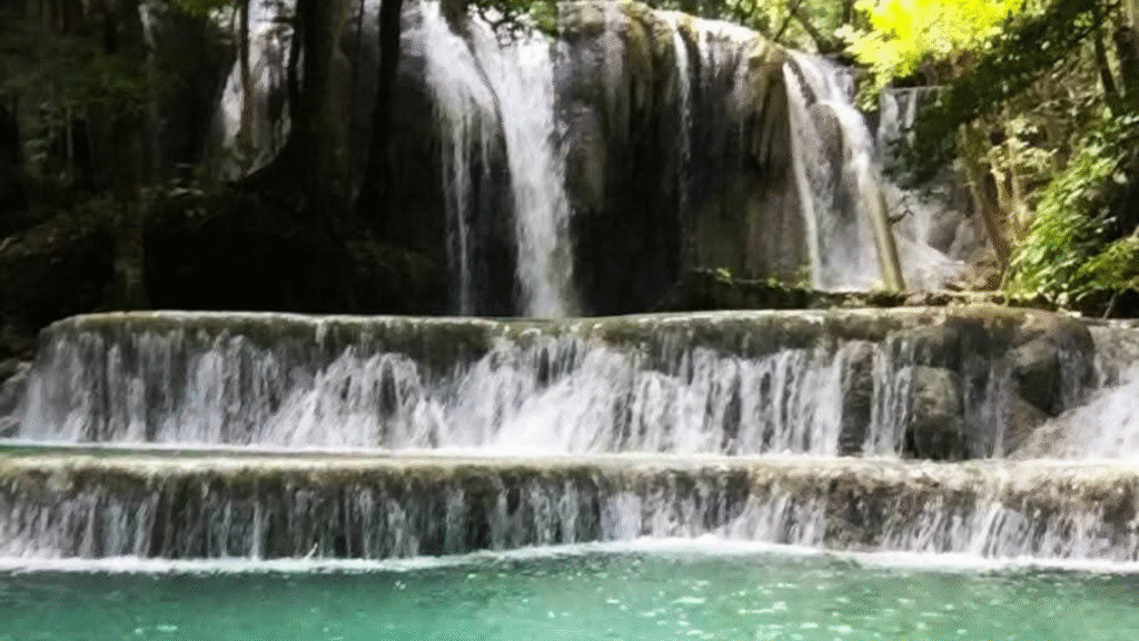 Moyo Island: Sumbawa’s Hidden Paradise in the Flores Sea