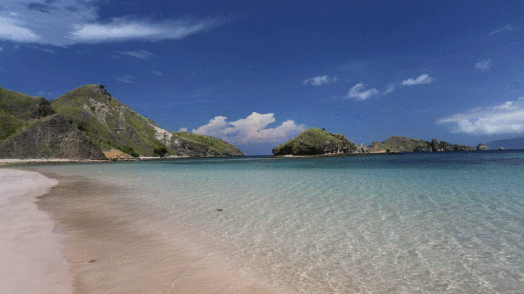Explore Komodo Island and Pink Beach — A Full-Day Adventure in Indonesia’s Natural Wonder