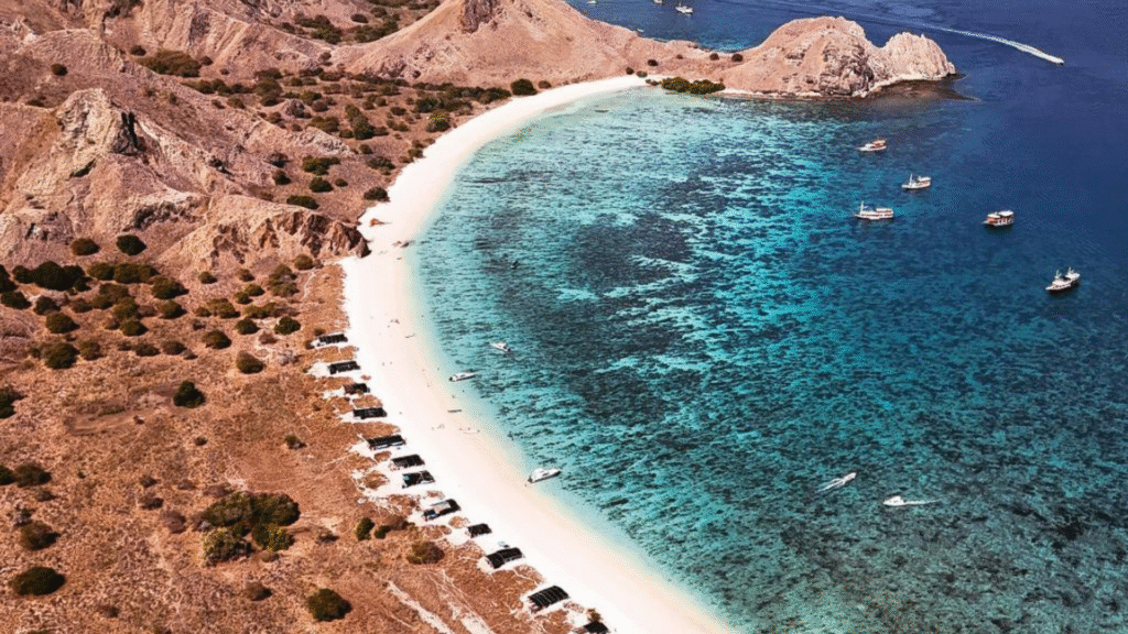 Pink Beach Indonesia — A Natural Wonder in Komodo National Park