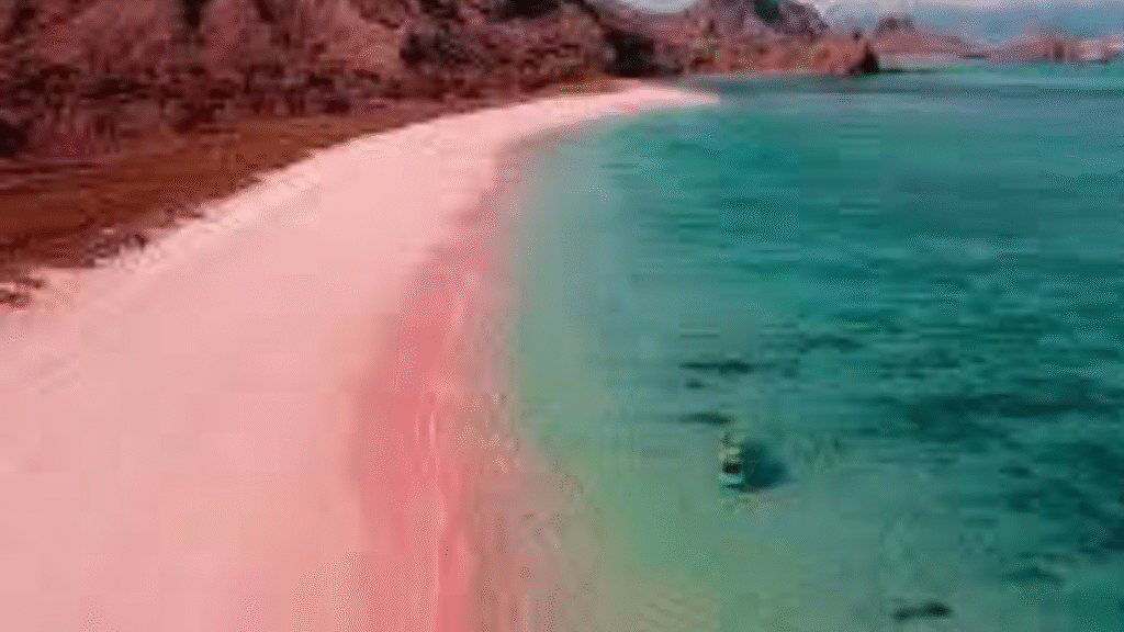 Boat Rental in Labuan Bajo with Komodo Padar Tour