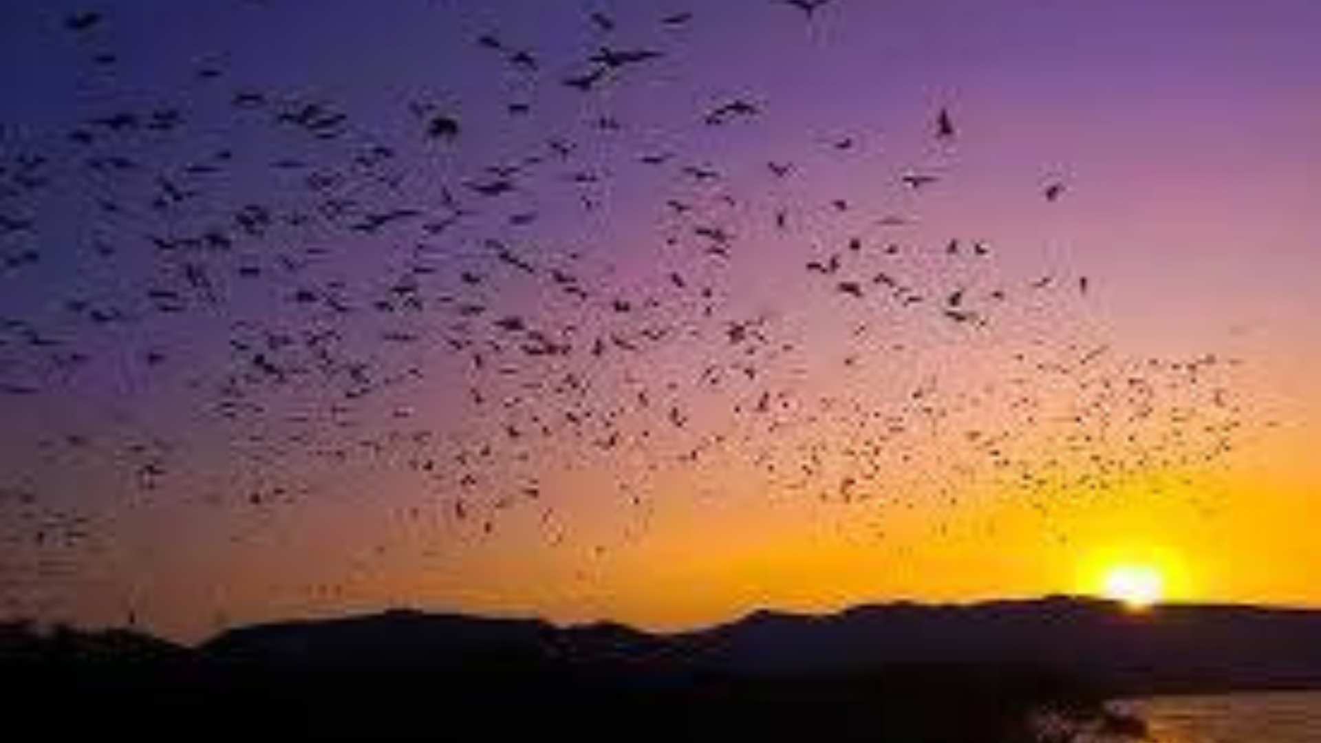 Komodo Sunset Tour – A Magical Evening Experience in Komodo National Park