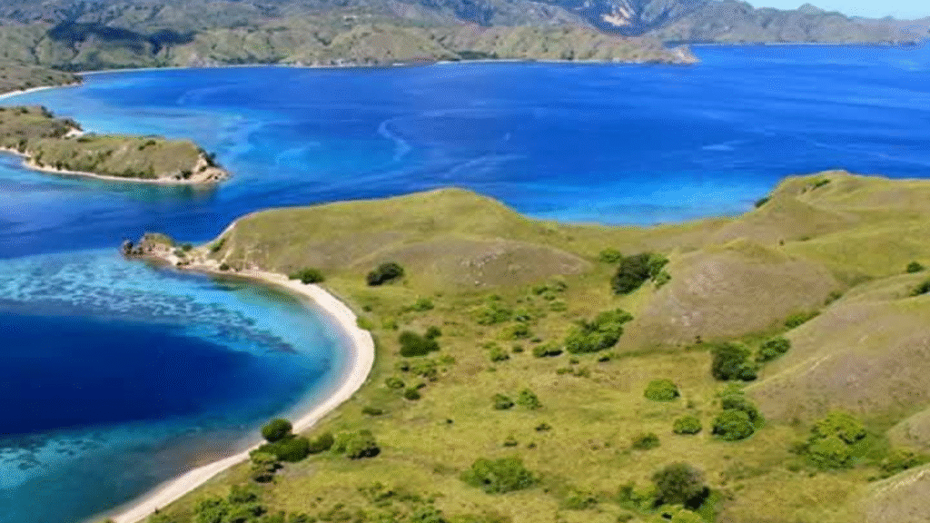 Komodo Tour 2 Days 1 Night: A Short Sailing Adventure in Komodo National Park