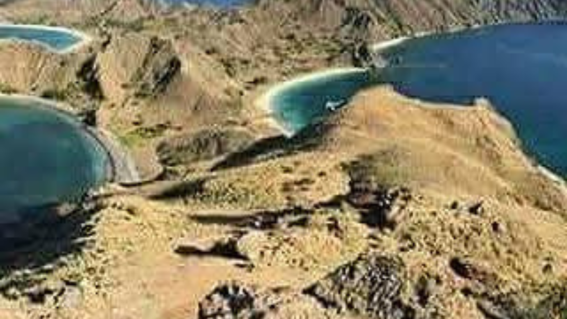 Komodo Tour 4 Days 3 Nights: A Complete Adventure in Komodo National Park