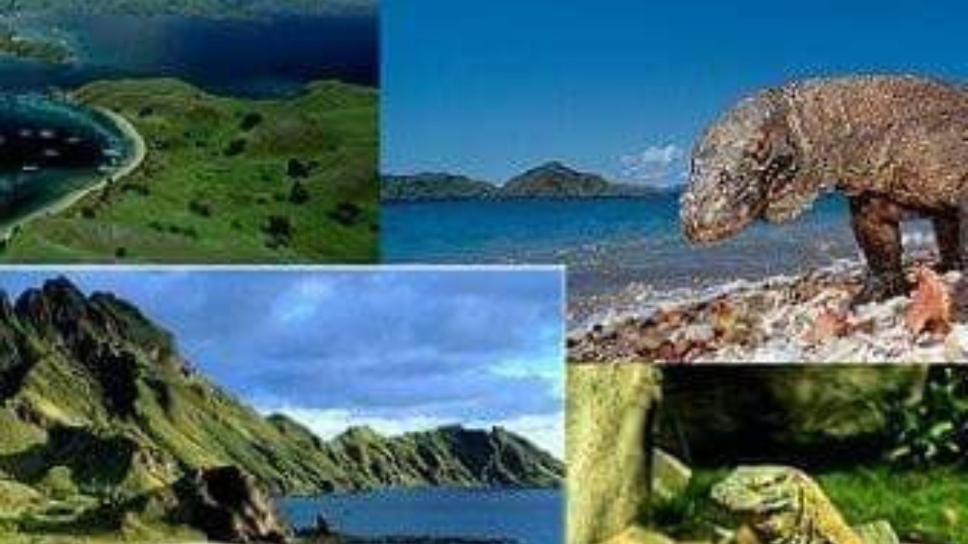 6 Day Komodo and Flores Tour Package – Island and Cultural Adventure