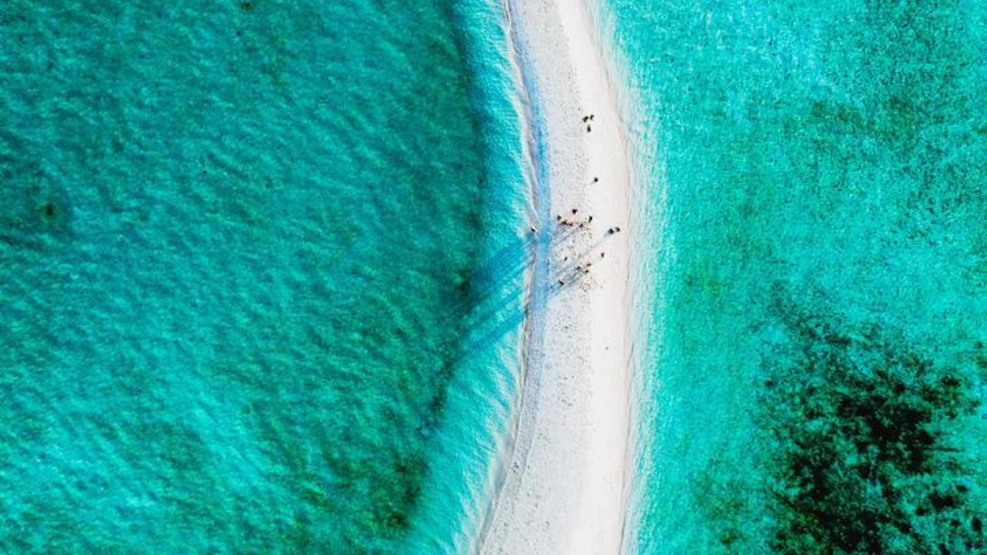 Labuan Bajo Best Snorkeling Day Trip – Full Day Snorkeling Adventure