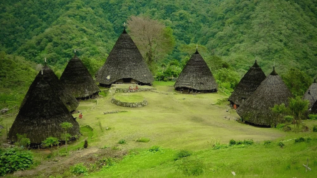 Full Day Wae Rebo Village Tour: A Journey to the Hidden Cultural Gem of Flores