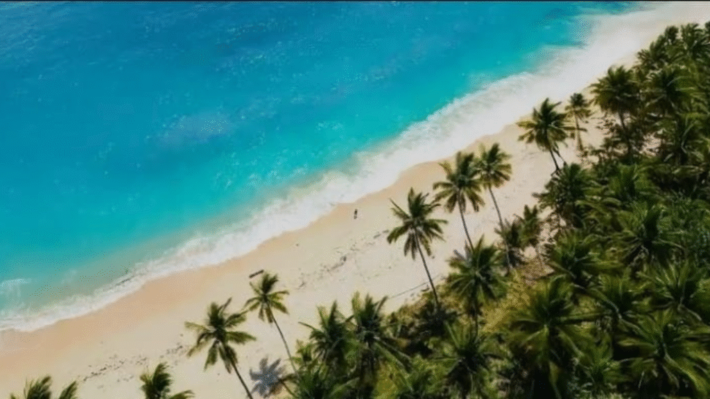 Luwuk Banggai Open Trip Price Guide: Cost, Itinerary, and What to Expect