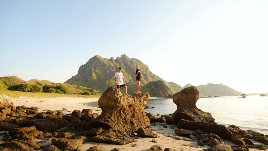 1 Day Trip Komodo National Park: The Ultimate Adventure from Labuan Bajo