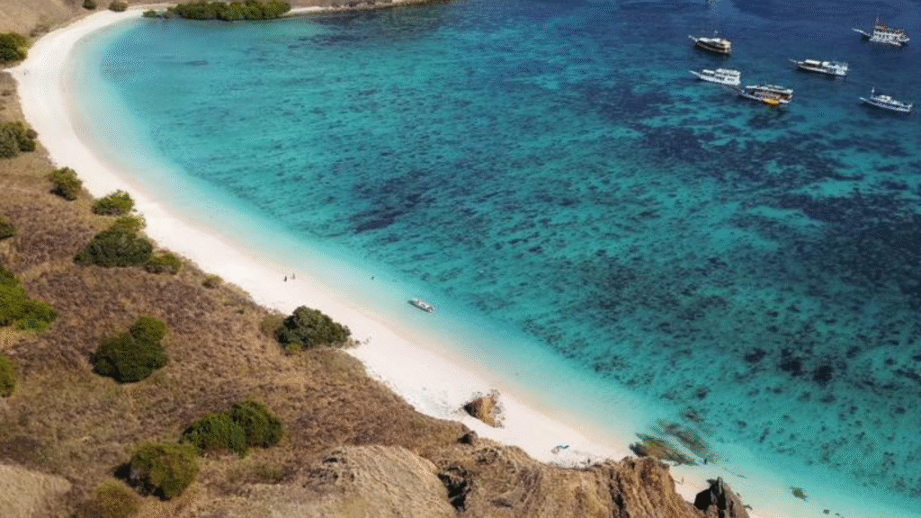 Sailing Phinisi Komodo Package 2 Days 1 Night: Experience the Ultimate Liveaboard Adventure