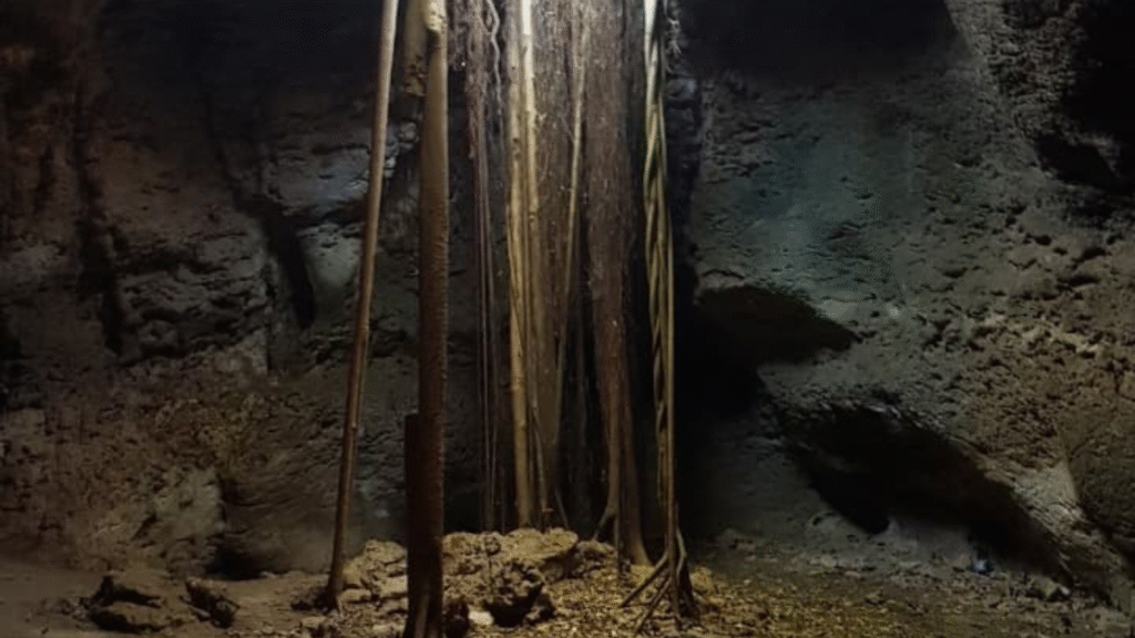 Flores and Komodo Tour 7 Days 6 Nights: The Ultimate Island Adventure in Indonesia