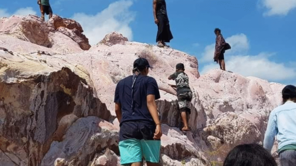 Labuan Tours: Your Trusted Partner for Exploring Komodo and Flores