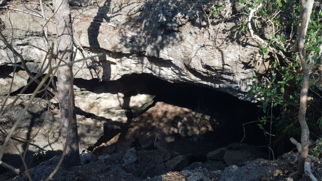 Full Day Rinca Island Tour: A Perfect One-Day Adventure in Komodo National Park