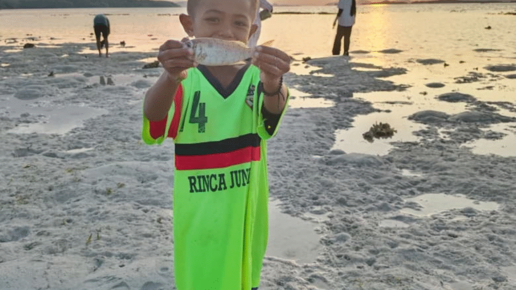 Explore Komodo National Park with Rinca Komodo Tours: An Unforgettable Adventure