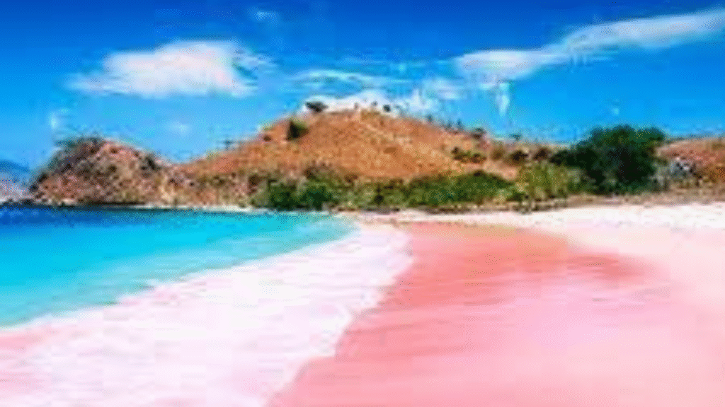 3 Days 2 Nights Sailing Trip Labuan Bajo – Komodo: The Ultimate Island Adventure