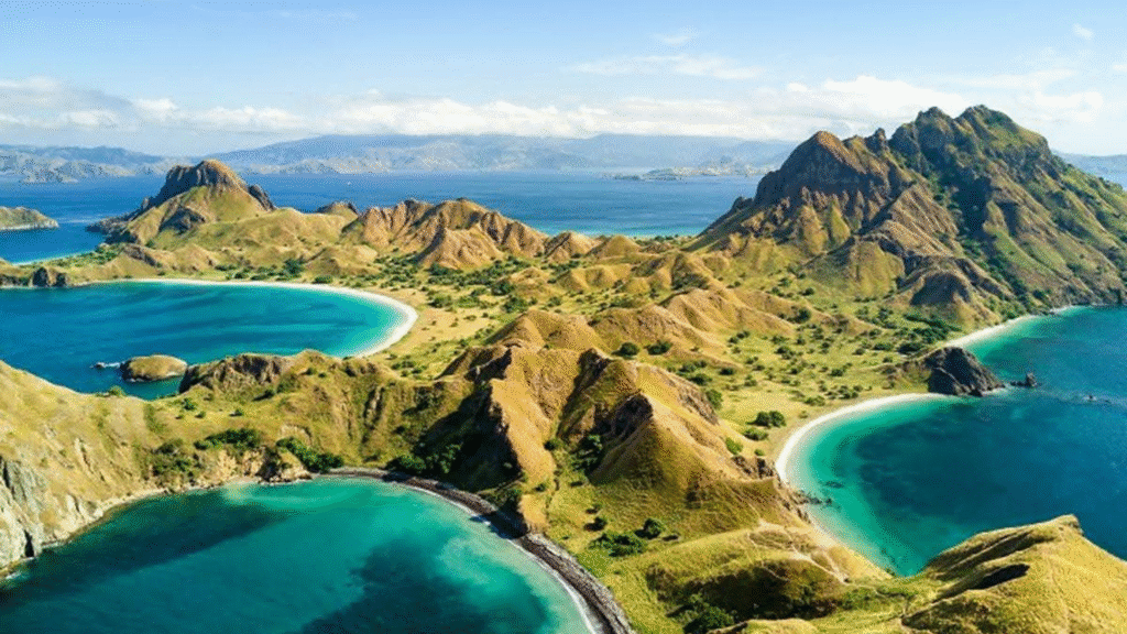 Komodo Dragon Island Tour 3 Days – The Ultimate Adventure in Komodo National Park