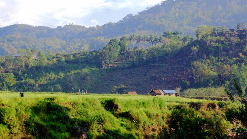 Komodo Flores Overland Tour 7 Days: The Ultimate Flores Island Adventure