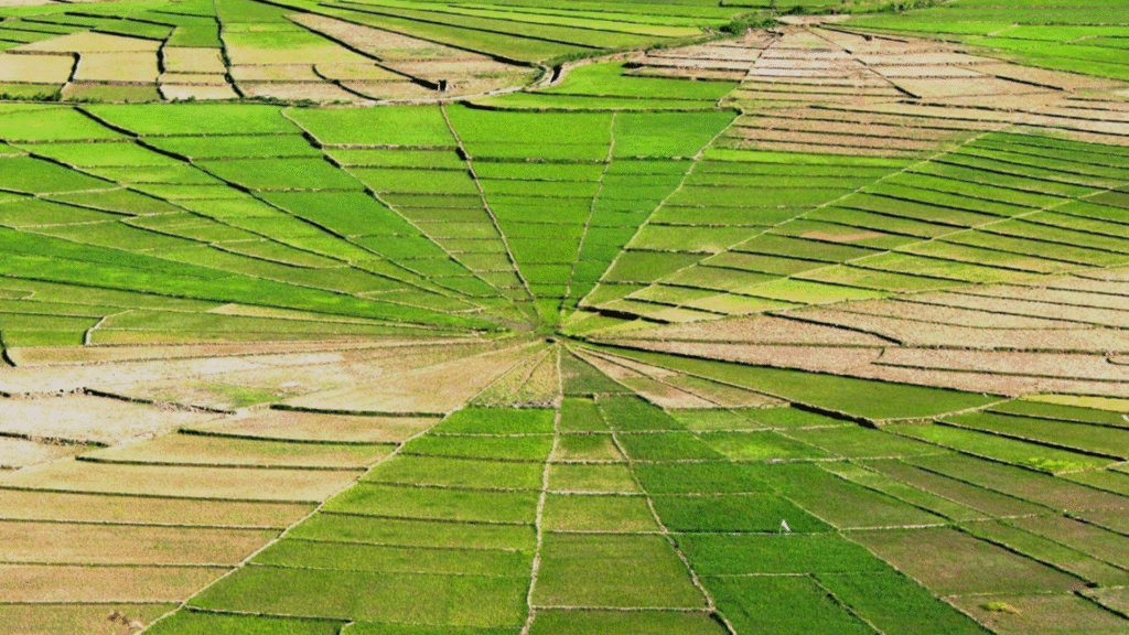 Komodo Flores Overland Tour 10 Days: The Ultimate Flores & Komodo Expedition