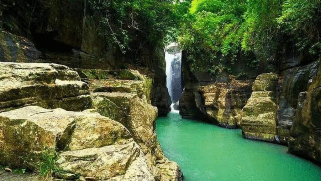 A Sensible Travel to Komodo and Flores: Explore Smart, Travel Deeper