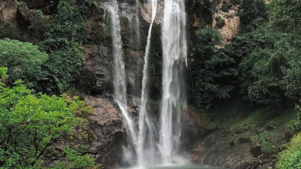 Plan a Responsible Komodo Island Tour: Travel Smart, Protect Nature