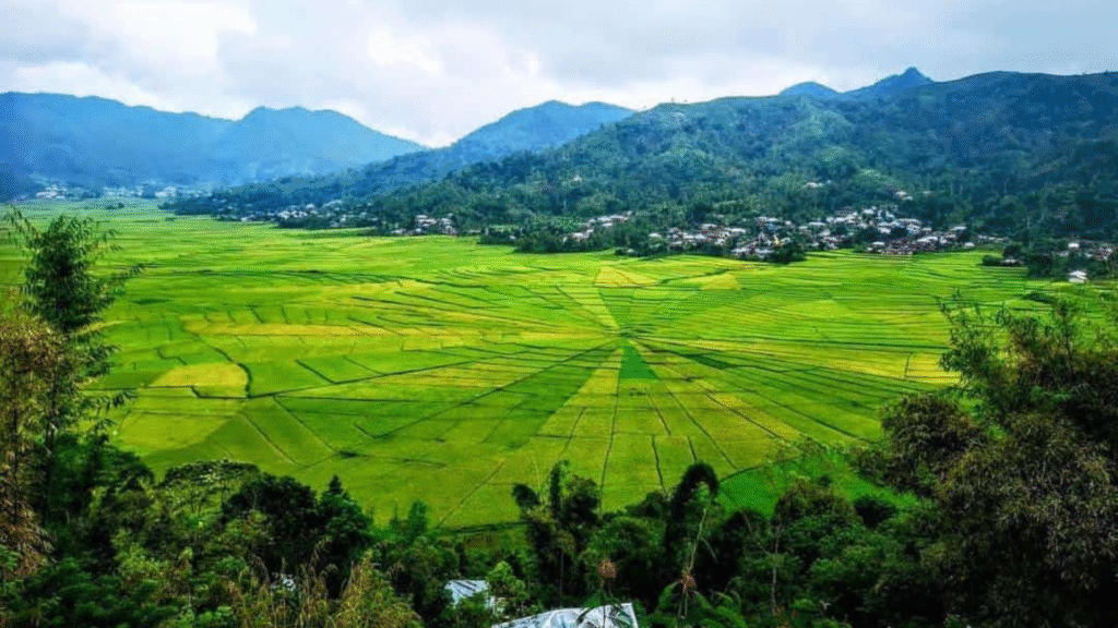 Where to See Komodo Dragons: Discover the Only Place on Earth