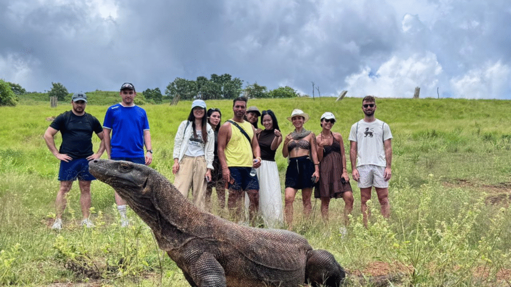 Komodo Dragon Island: Nature’s Untamed Wonder