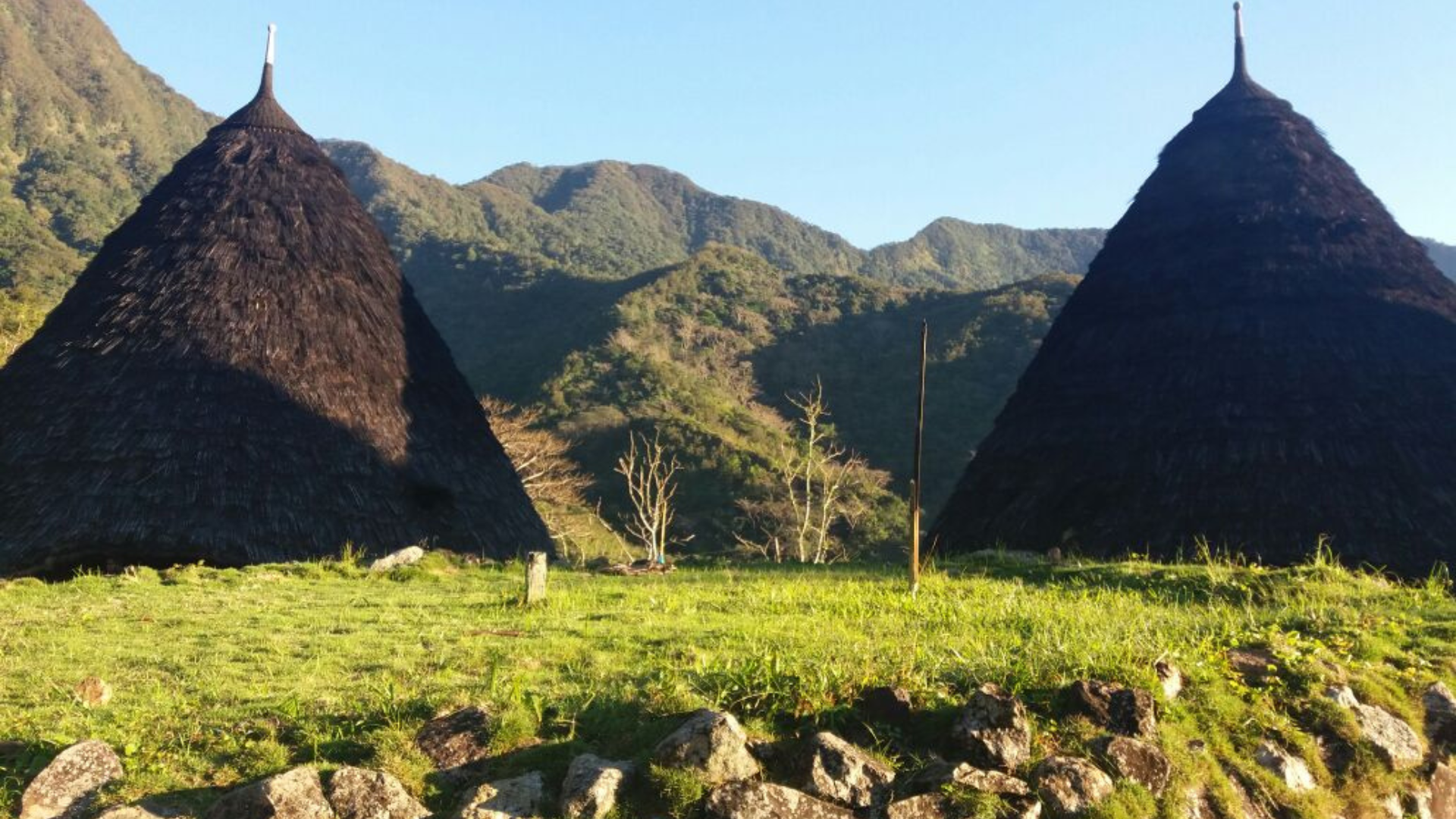 Wae Rebo and Komodo Tour – Cultural & Natural Highlights of Flores and Komodo