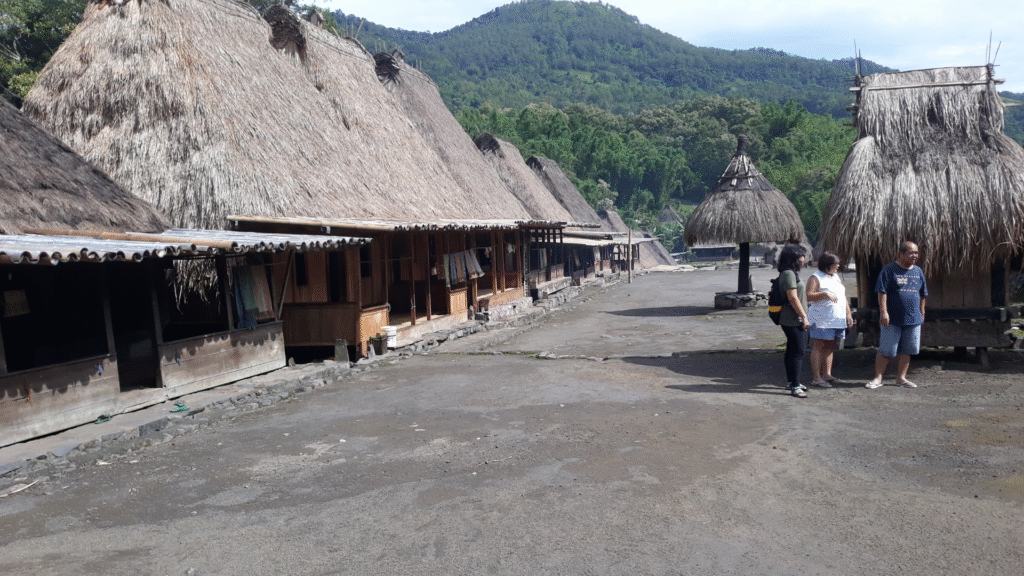 Bena Traditional Village: Explore the Ancient Culture of Flores