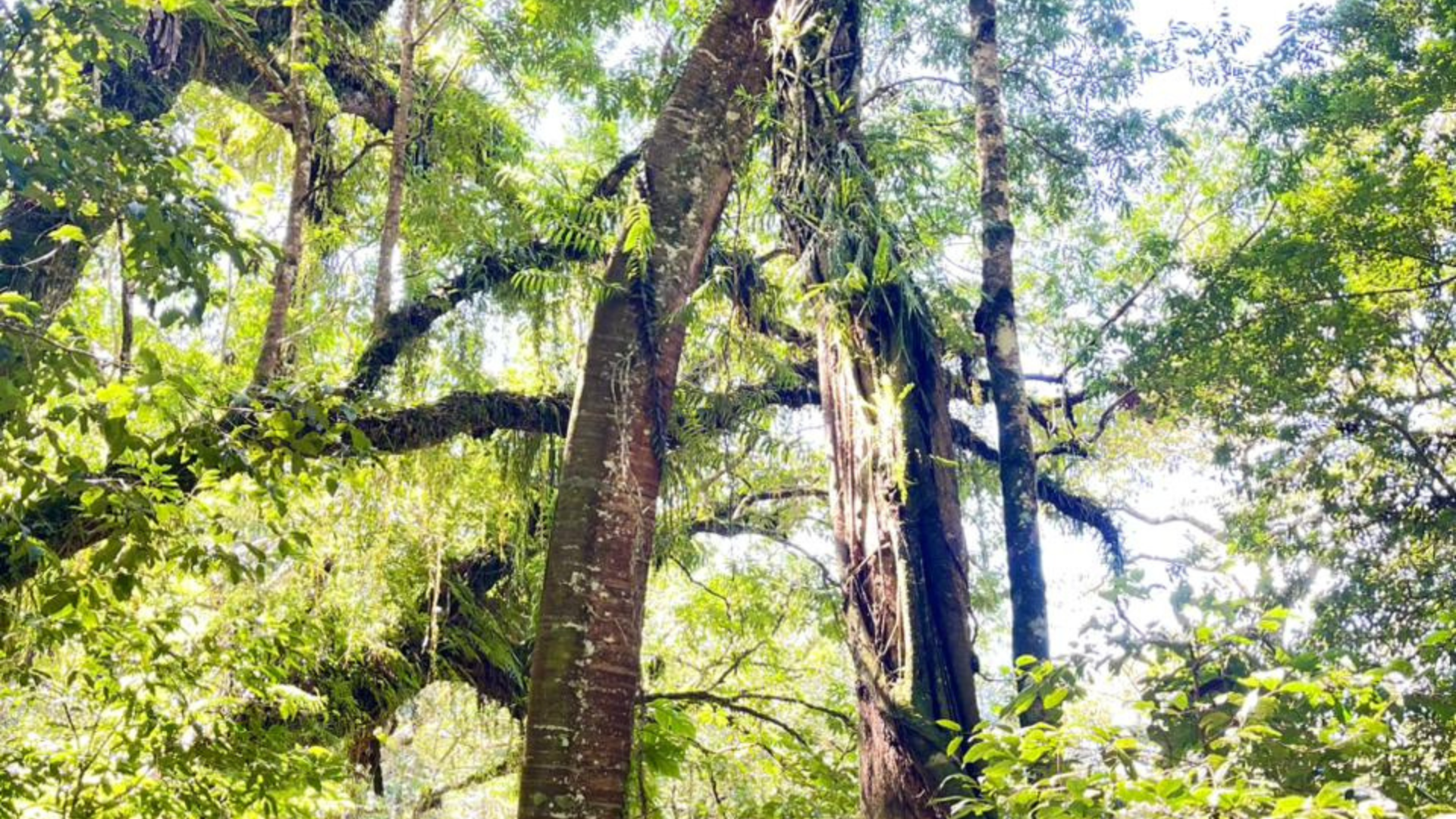 Explore Flores: 8 Days Overland Tour Package Adventure