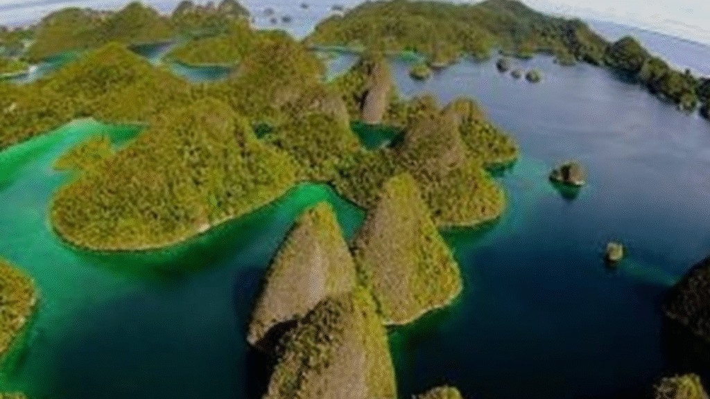 Raja Ampat Liveaboards: The Ultimate Way to Explore Indonesia’s Last Paradise