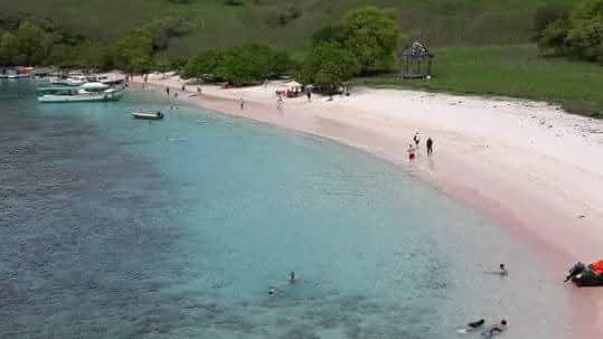 Best Reference Guide to Loh Liang – Komodo National Park Tour