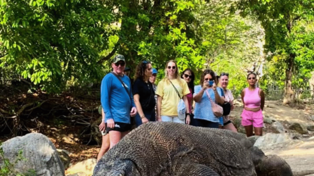 Fantastic Trip to Komodo Island: A Journey You Will Never Forget