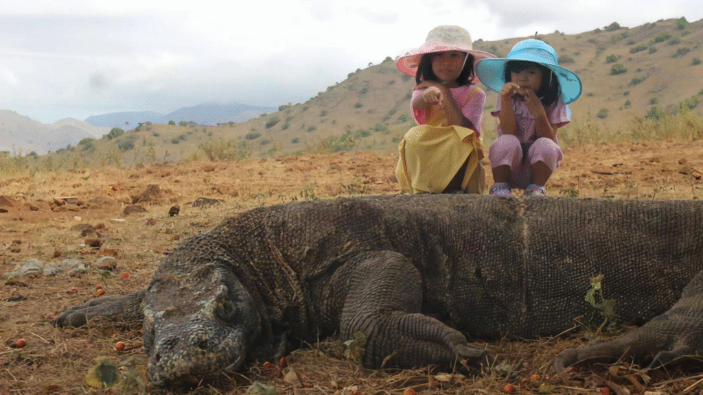 Don’t Hesitate to Visit Komodo: The Destination Remains Open and Welcoming