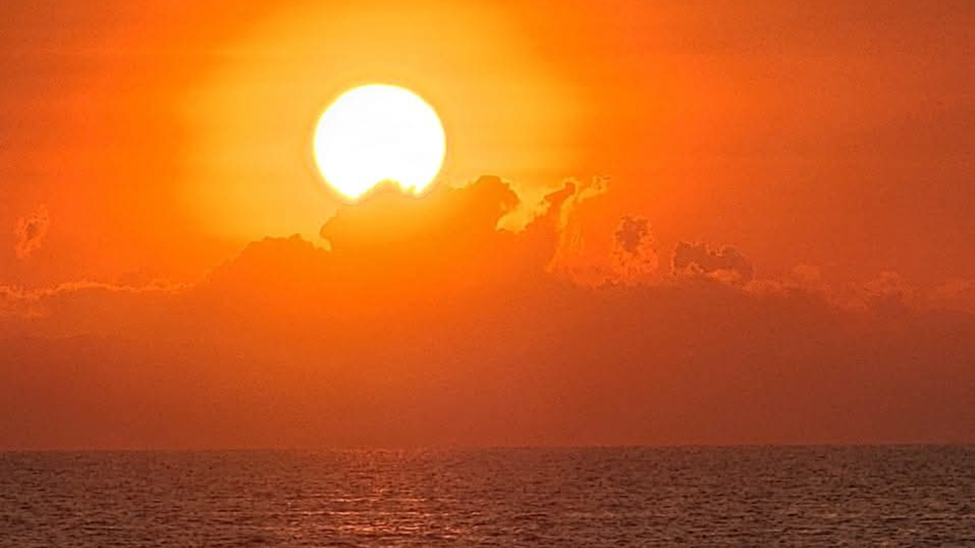 Komodo and Rinca Island Travel Guide That You Should Know