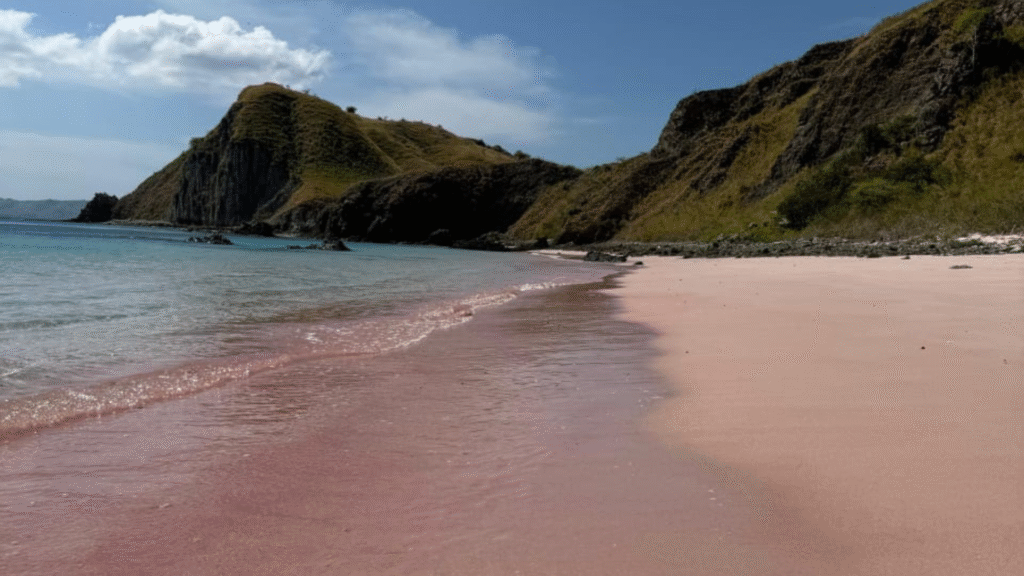 List of Komodo National Park Fees and 4 Main Activities