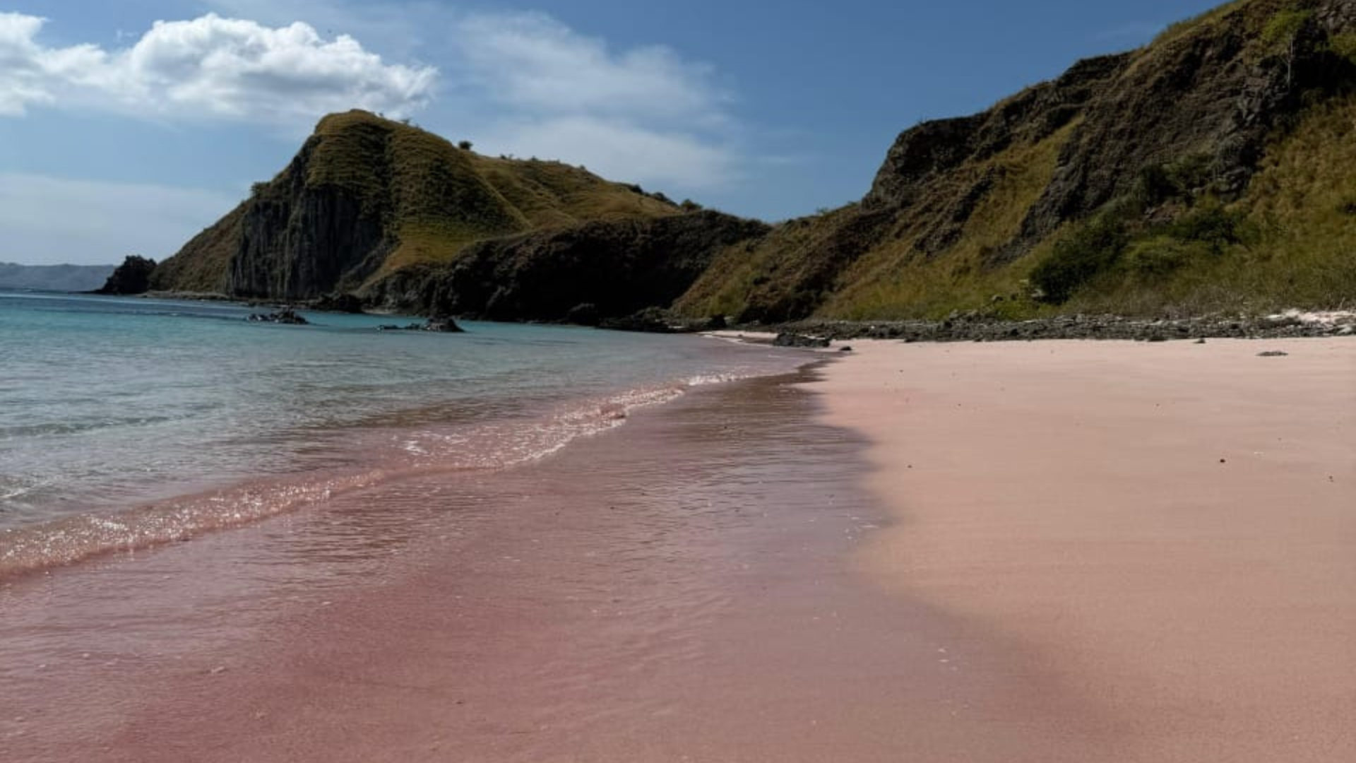 List of Komodo National Park Fees and 4 Main Activities