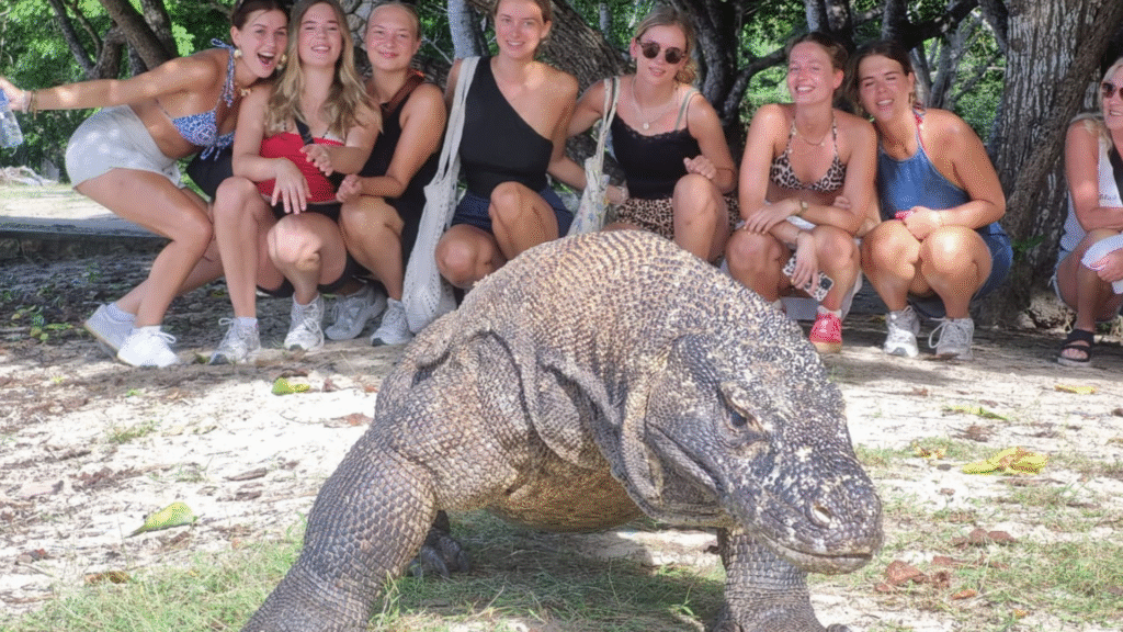 Tourist Edition: How to Go to Komodo Island